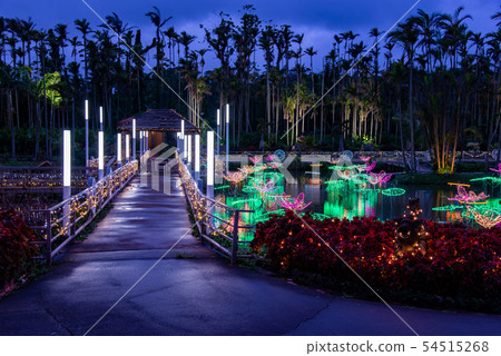 沖繩冬季東南植物園水天堂池塘照明 54515268