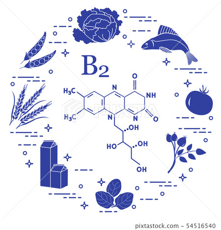 Foods rich in vitamin B2 Fish, peas and other. Foods rich in vitamin B2 Fish, peas and other. 54516540