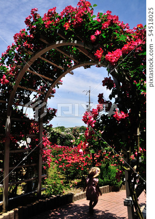 Reizan Temple Rose Arch Reizan Temple Rose Arch 54518025