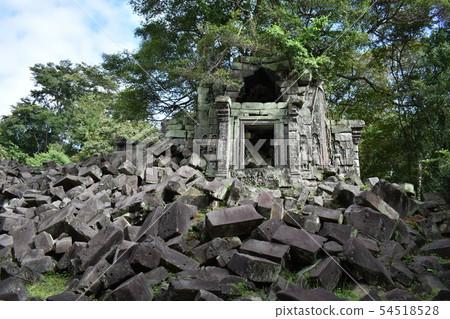 Kokee仍然存在 54518528