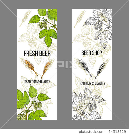 Beer and brewery labels, design elements with hops and barley Beer and brewery labels, design elements with hops and barley 54518529