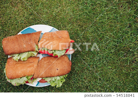 Close-up big plate with appetizing fresh sandwich Close-up big plate with appetizing fresh sandwich 54518841