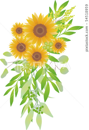 花束裝飾花例證向日葵向日葵 54518959