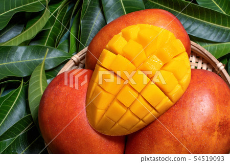 Mango fruit diced cut fresh summer summer Taiwan Fresh Mango sliced dice co 54519093
