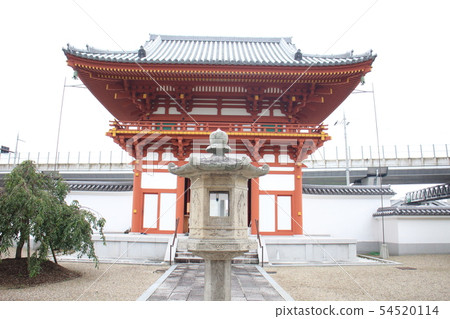 Kikkoji Kikkoji 54520114