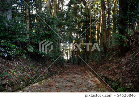前東海道Kanayasaka石榻榻米161223pm2：38 54520846