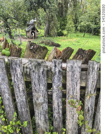 aged wooden fence of a garden in spring aged wooden fence of a garden in spring 54520880