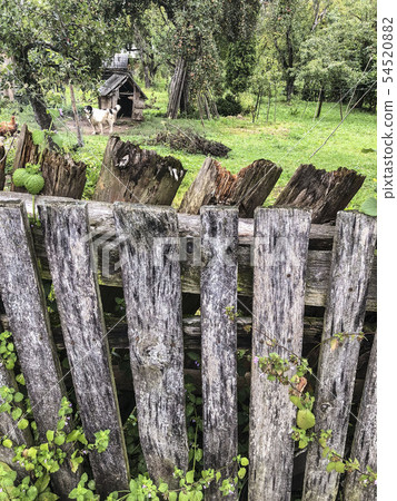 aged wooden fence of a garden in spring aged wooden fence of a garden in spring 54520882
