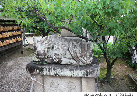 Sugawara Tenman-gu 54521125