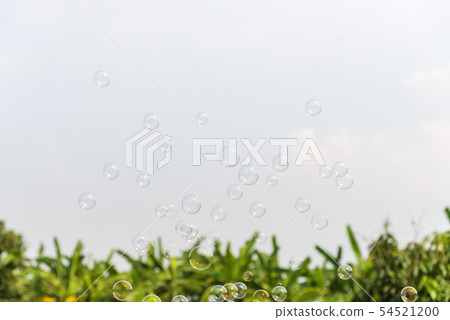 Soap bubbles in the air with natural background Soap bubbles in the air with natural background 54521200