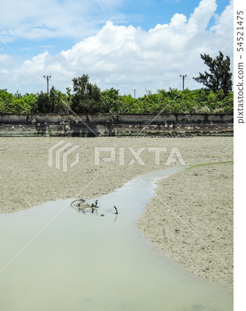 Lost Things in Tidal Flat Toyosaki Tidal Flat Tomigusuku City, Okinawa Prefecture 54521475