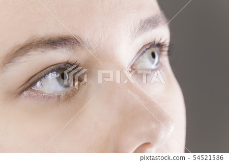 Macro eye Macro eye 54521586