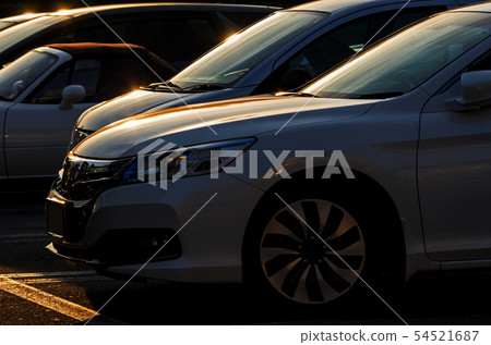 棲息在停車場的白色汽車在黃昏 棲息在停車場的白色汽車在黃昏 54521687