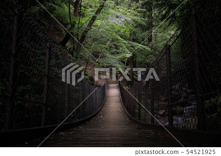 Dragonizing Waterfall Dragonizing Bridge Dragonizing Waterfall Dragonizing Bridge 54521925