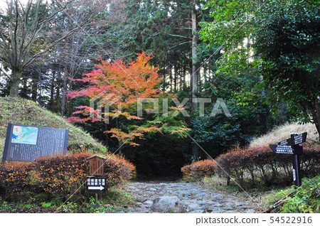 Townscape of Hakone Hakone old highway Hatajuku Ichirizuka 54522916