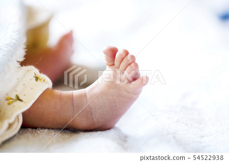 Two weeks old baby foot Two weeks old baby foot 54522938