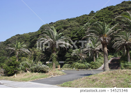 在原名川島(千葉縣勝浦市) 在原名川島(千葉縣勝浦市) 54525346