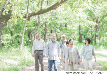 Senior image Senior image 54525975