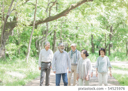 Senior image 54525976