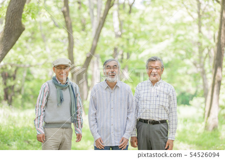Senior image Senior image 54526094