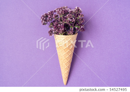 Herbs in a waffle cone Herbs in a waffle cone 54527495