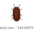甲蟲 54528079