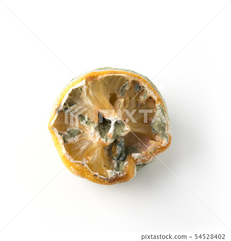 Ugly lemon with mold on white background. Ugly lemon with mold on white background. 54528402