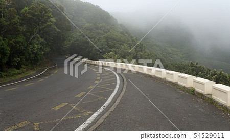 curvy serpentine roads in anaga mountains 54529011