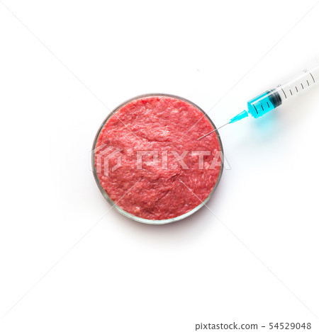 Laboratory studies of minced meat in Petri dish. 54529048