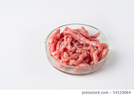 Minced meat in glass Petri dish for laboratory 54529064
