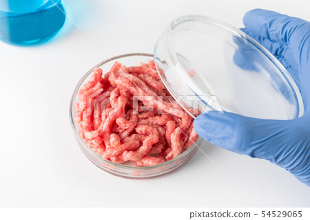 Minced meat in Petri dish in hands scientist. 54529065