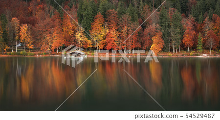 Autumn forest and water reflection panoramic view 54529487
