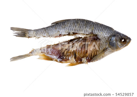 dry fish close up 54529857