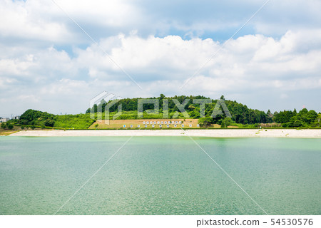 Togane Dam Togane湖（千葉縣東金市）*照片攝於2019年6月 54530576