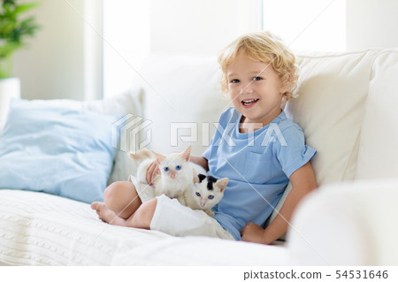 Child playing with baby cat. Kid and kitten. Child playing with baby cat. Kid and kitten. 54531646