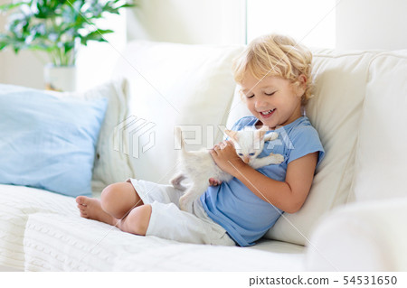 Child playing with baby cat. Kid and kitten. Child playing with baby cat. Kid and kitten. 54531650