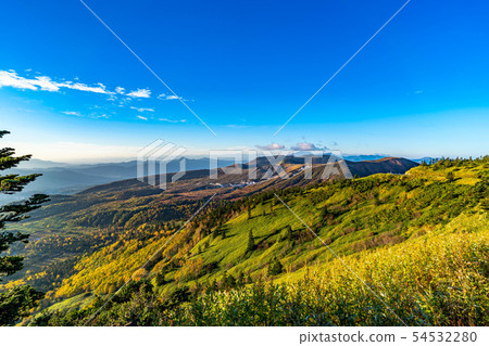 Autumn shibuya morningburn [Gunma Prefecture] 54532280