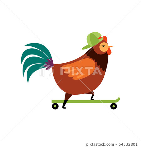 Colorful Rooster Riding on Skateboard, Farm Cock Cartoon Character Vector Illustration 54532801