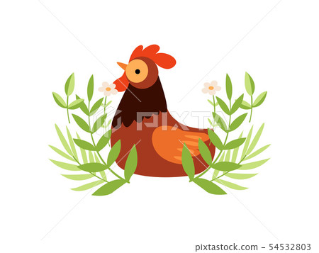 Colorful Rooster on Green Lawn, Farm Cock, Poultry Farming Vector Illustration 54532803