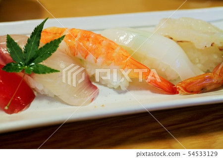 Nigiri Sushi White Plate Material Background 54533129