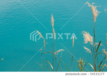 Aoi pond and blue sky Aoi pond and blue sky 54533177