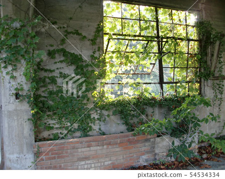 Ruins and windows Ruins and windows 54534334