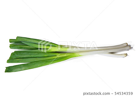 White onion (depth composition) 54534359