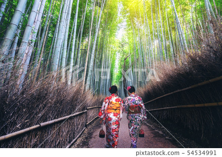 Traveler in Bamboo Forest Grove, Kyoto, Japan Traveler in Bamboo Forest Grove, Kyoto, Japan 54534991
