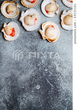 Raw fresh uncooked scallops Raw fresh uncooked scallops 54535181