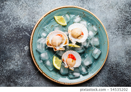 Raw fresh uncooked scallops Raw fresh uncooked scallops 54535202