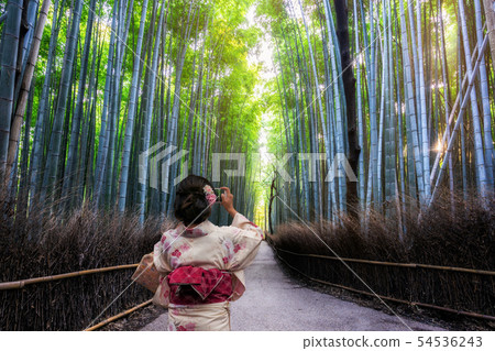 Traveler in Bamboo Forest Grove, Kyoto, Japan Traveler in Bamboo Forest Grove, Kyoto, Japan 54536243