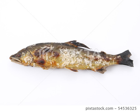Salt-grilled natural sweetfish Salt-grilled natural sweetfish 54536325