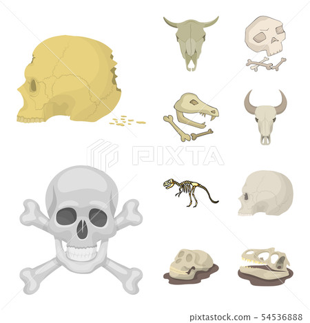 Vector illustration of skeleton and character logo. Collection of skeleton and halloween stock Vector illustration of skeleton and character logo. Collection of skeleton and halloween stock 54536888