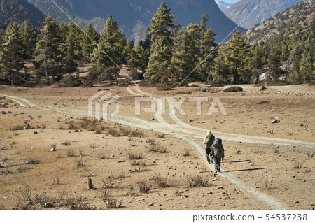在尼泊爾安納布爾納峰山徒步旅行 在尼泊爾安納布爾納峰山徒步旅行 54537238